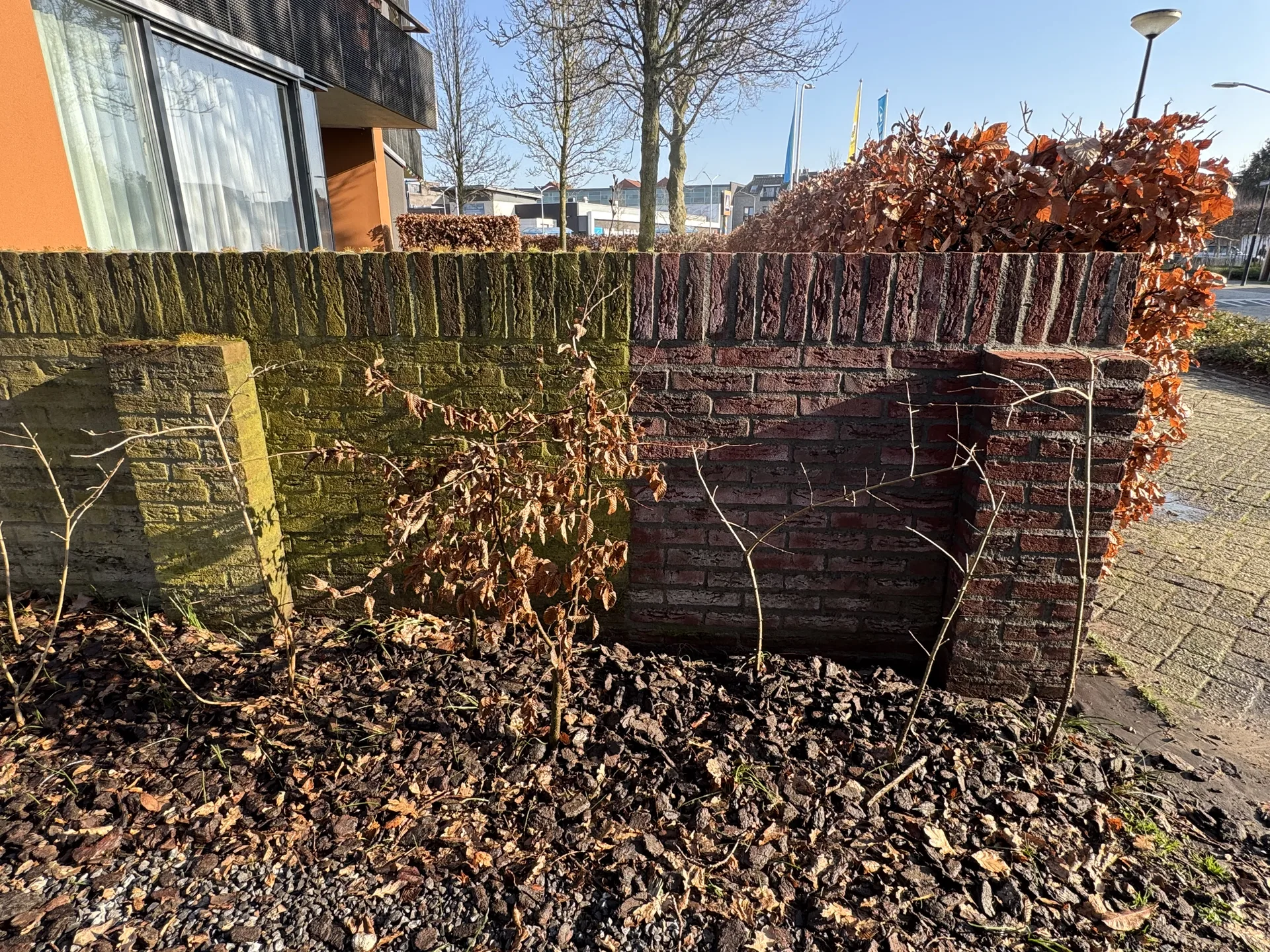 Optimaal Reiniging gevelreiniging groene aanslag before after